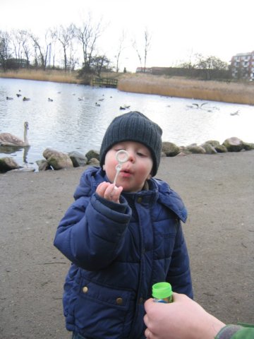 photo26.jpg