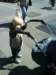 photo8_small.jpg